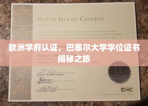 欧洲学府认证，巴塞尔大学学位证书揭秘之旅