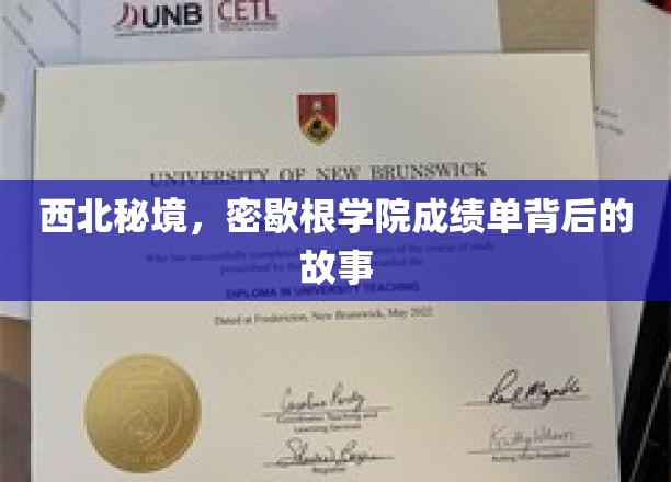 西北秘境，密歇根学院成绩单背后的故事