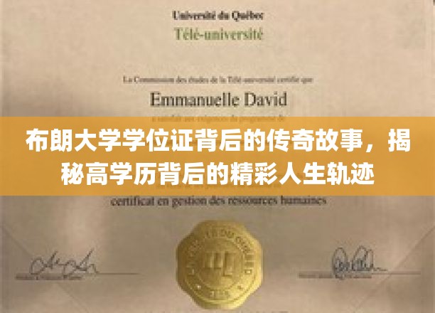 布朗大学学位证背后的传奇故事，揭秘高学历背后的精彩人生轨迹