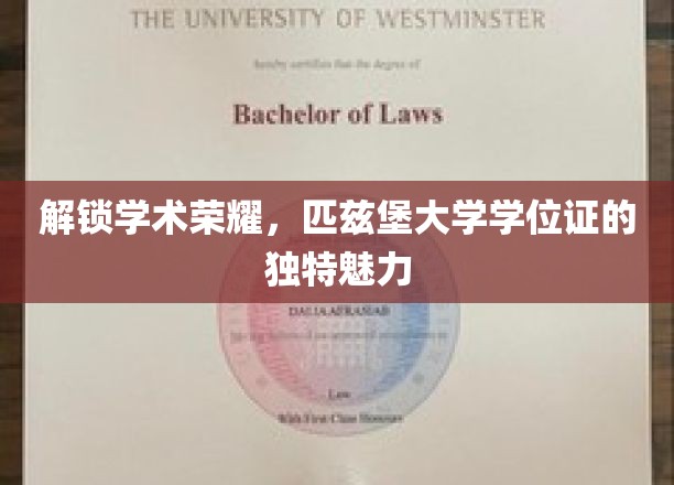 解锁学术荣耀,匹兹堡大学学位证的独特魅力