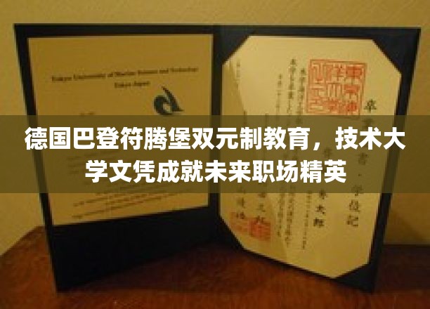 德国巴登-符腾堡双元制教育，技术大学文凭成就未来职场精英