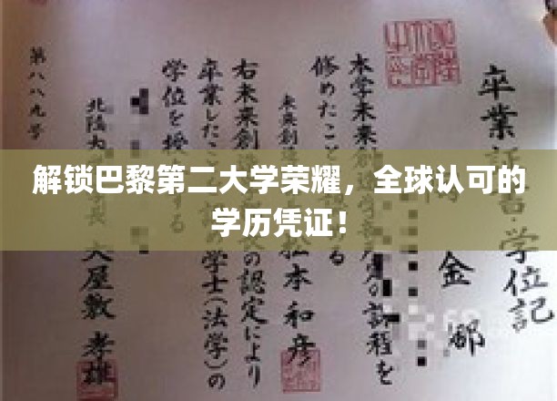 解锁巴黎第二大学荣耀，全球认可的学历凭证！