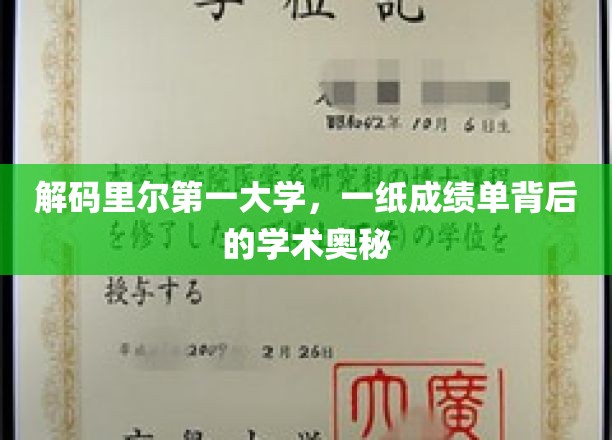 解码里尔第一大学，一纸成绩单背后的学术奥秘