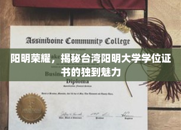 阳明荣耀，一探台湾阳明大学学位证书的独特魅力