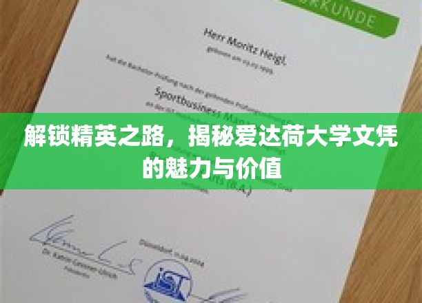 解锁精英之路，揭秘爱达荷大学文凭的魅力与价值
