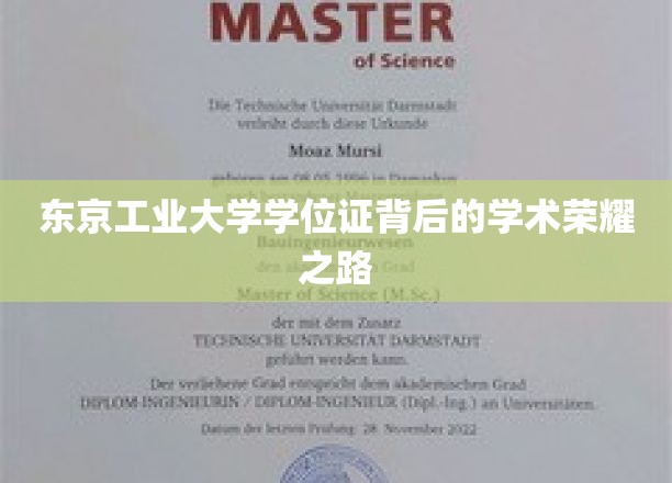 东京工业大学学位证背后的学术荣耀之路