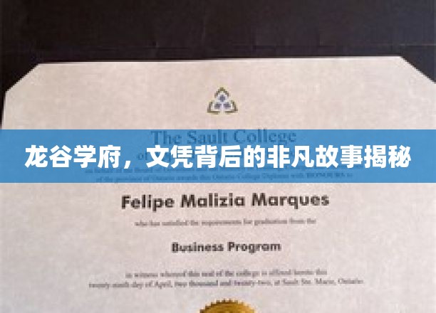 龙谷学府，文凭背后的非凡故事揭秘