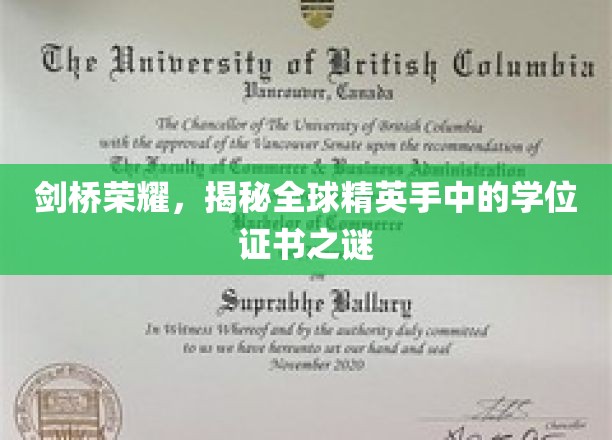 剑桥荣耀，揭秘全球精英手中的学位证书之谜