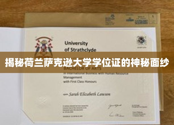 揭秘荷兰萨克逊大学学位证的神秘面纱