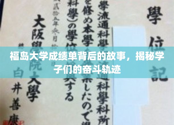 福岛大学成绩单背后的故事，揭秘学子们的奋斗轨迹