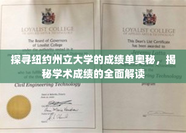 探索纽约州立大学成绩单的奥秘，全面解读学术成就