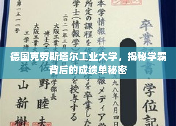德国克劳斯塔尔工业大学，揭秘学霸背后的成绩单秘密