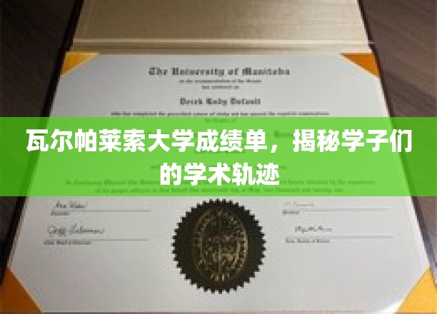 瓦尔帕莱索大学成绩单，揭秘学子们的学术轨迹