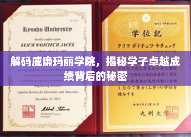 解码威廉玛丽学院，一窥学子卓越成绩背后的奥秘