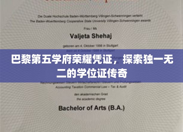 巴黎第五大学学位证书,彰显荣耀与学术传奇