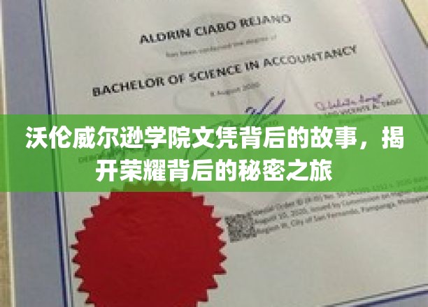 沃伦威尔逊学院文凭背后的故事，揭开荣耀背后的秘密之旅
