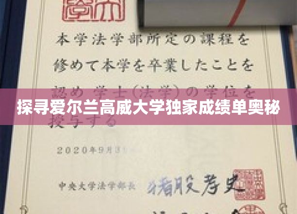 探寻爱尔兰高威大学独家成绩单奥秘