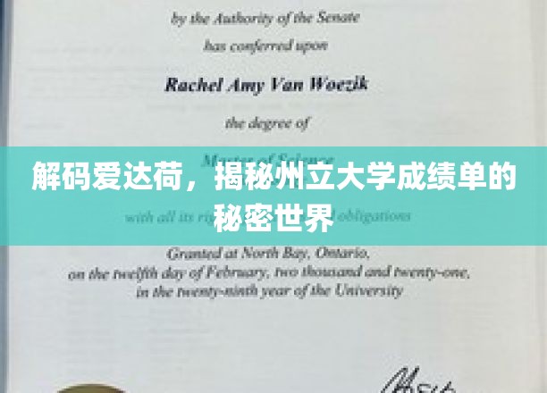 解码爱达荷，揭秘州立大学成绩单的秘密世界
