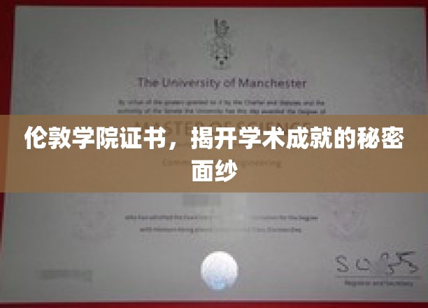 伦敦政治经济学院学位证书，揭开学术成就的秘密面纱