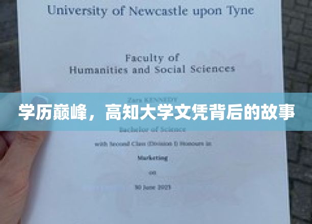 学历巅峰，高知大学文凭背后的故事