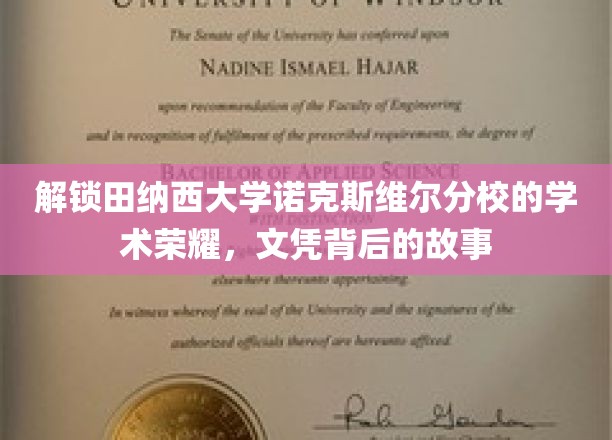 解锁田纳西大学诺克斯维尔分校的学术荣耀，文凭背后的故事
