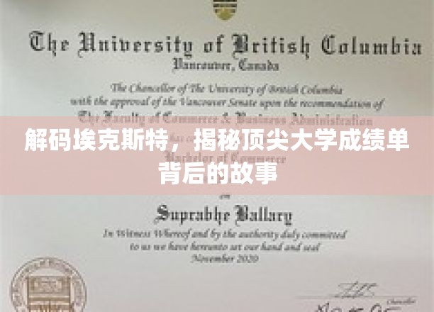 解码埃克斯特，揭示顶尖大学成绩单背后的故事
