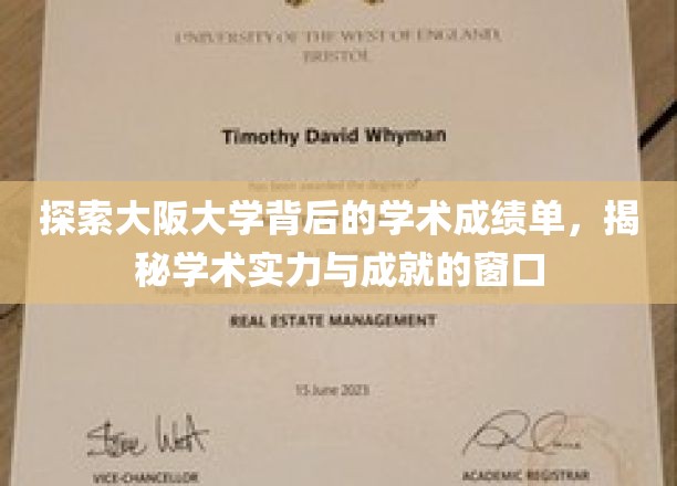 探索大阪大学背后的学术成绩单，揭秘学术实力与成就的窗口