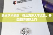欧洲教育瑰宝，荷兰海牙大学学位，拓宽全球视野新篇章