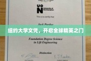 纽约通行证，纽约大学文凭，引领国际精英新航程
