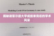 探寻谢菲尔德大学成绩单中的学术魅力之光