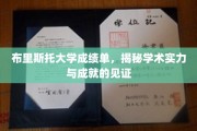 布里斯托大学成绩单，映照学术辉煌的成就证书