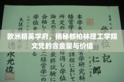 爱尔兰明珠，都柏林理工学院文凭的非凡价值与全球认可度