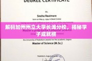 揭开加州州立大学长滩分校的学子卓越之路