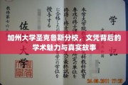 加州大学圣克鲁斯分校，文凭背后的学术魅力与真实故事