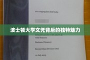 波士顿大学学位的神秘光环，揭开其独特吸引力之谜