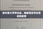 埃夫里大学学位证之谜，揭开学历背后的传奇故事