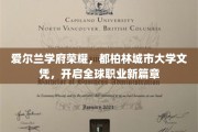 都柏林城市大学荣耀文凭，助你踏足国际职场新起点