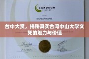 台湾中山大学文凭的璀璨魅力，台中大赏背后的价值探秘