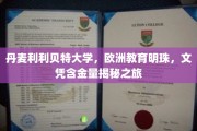 探寻欧洲教育瑰宝，揭秘丹麦利利贝特大学文凭的非凡价值