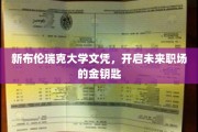 握紧新布伦瑞克大学文凭，解锁无限职场潜能之门