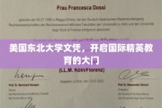 跨越国界，东北大学文凭助力全球精英之路
