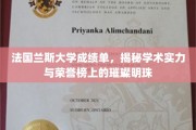 法国兰斯大学荣耀瞬间，探寻学术星空中的璀璨星辰