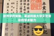 探寻蒙彼利埃大学，欧洲教育明珠的学术风采揭秘