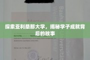 解码亚利桑那骄子，探寻学子辉煌背后的传奇历程