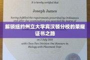 宾汉顿分校荣耀证书，揭秘毕业成就背后的奋斗之路
