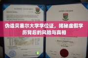 冒牌贝塞尔大学文凭揭秘，虚假学历的代价与内幕曝光