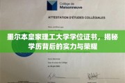 墨尔本皇家理工大学学位证书，探寻荣耀背后的实力密码