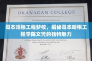 哥本哈根工程学院，探索文凭背后的全球教育传奇