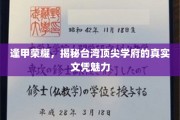 逢甲之光，探索台湾顶级学府文凭的非凡魅力