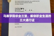 马赛学院高才生必备，解锁职场成功的三大秘籍宝典